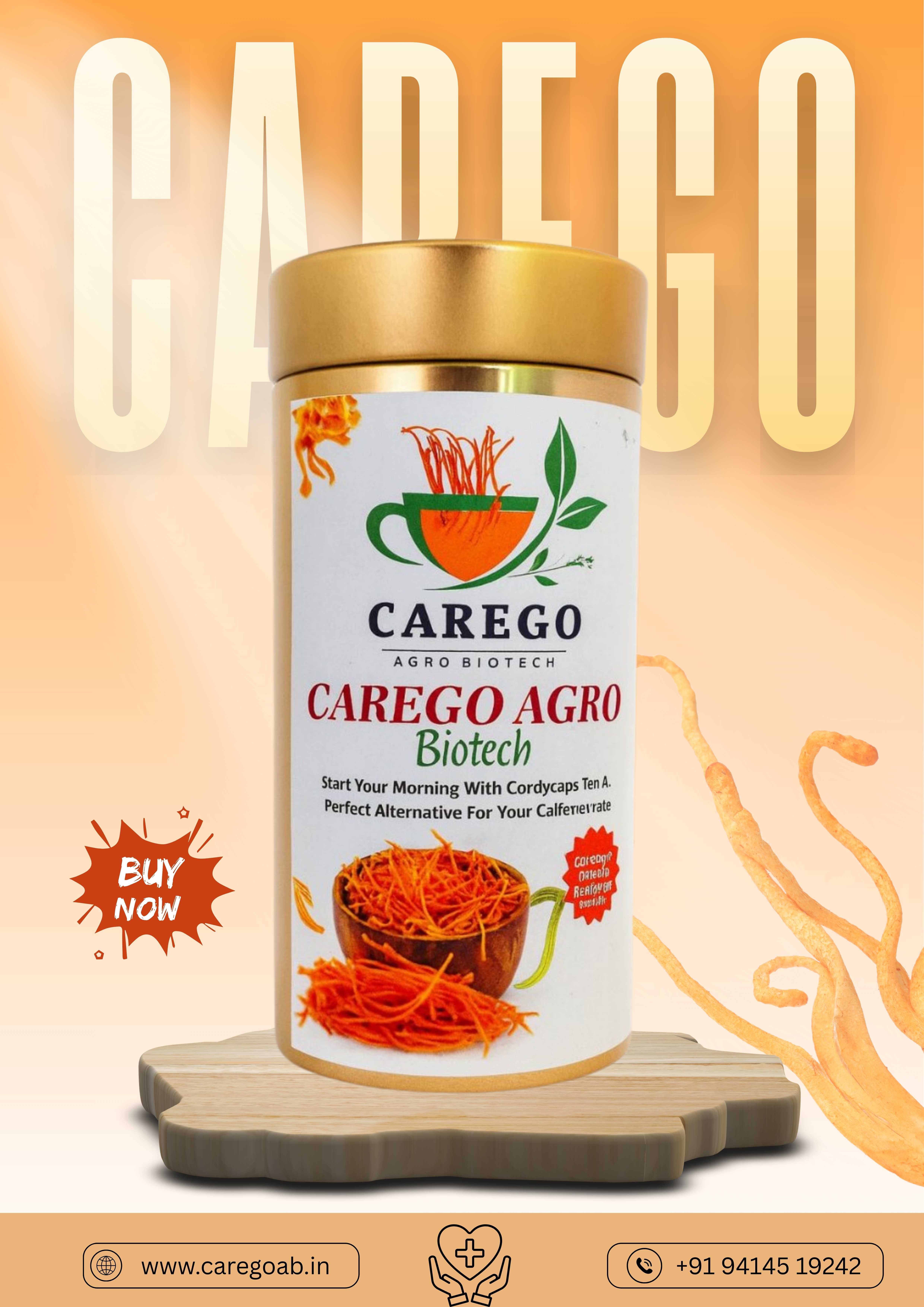 Compressed Carego Poster | Keedajadi Cordyceps Militaris